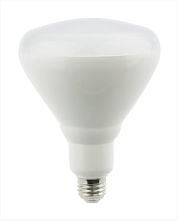 R #LB90R40-D/ 12W LED R40 Flood Lamp